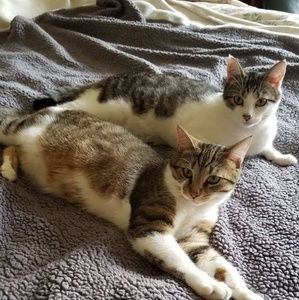 Meet your Posher, Teresa